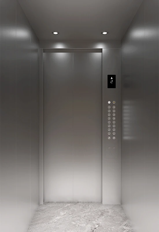 Ascenseur domestique RR-004