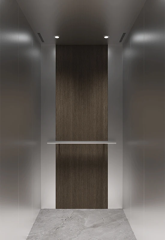 Ascenseur domestique RR-004